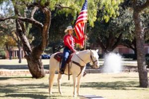 A six white horse rider holds the American flag.